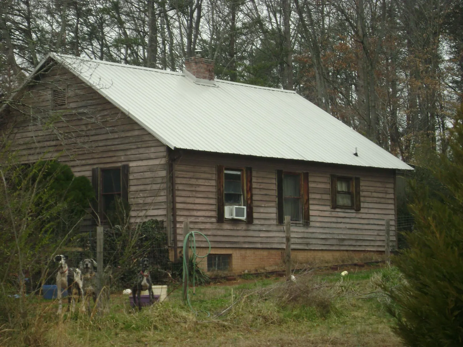 White metal roof on an old wood sided farmhouse, from a Metal Roof Installation job in Buffalo Lake